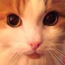 EmiLouP