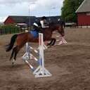 stallnawa